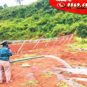 z5257956698861 103175a2ea7f2fcd1efa991de300fc16