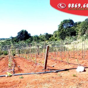 z5257956717307 1135ab9a7682bc9ec48d486d93efbf1c